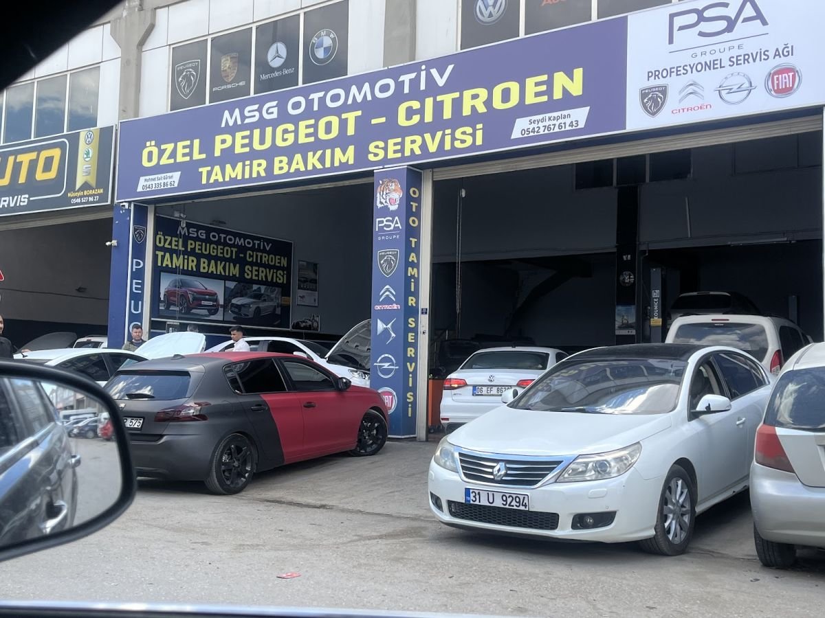 Elektrik & Elektronik — PSA MSG Auto